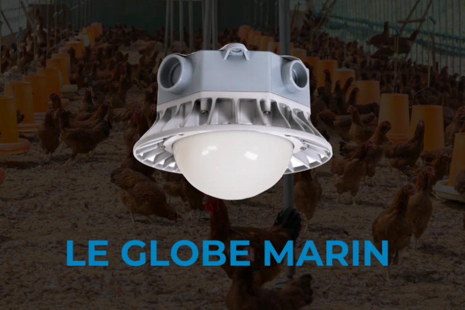 Globe Marin : robustesse et performance pour votre éclairage agricole