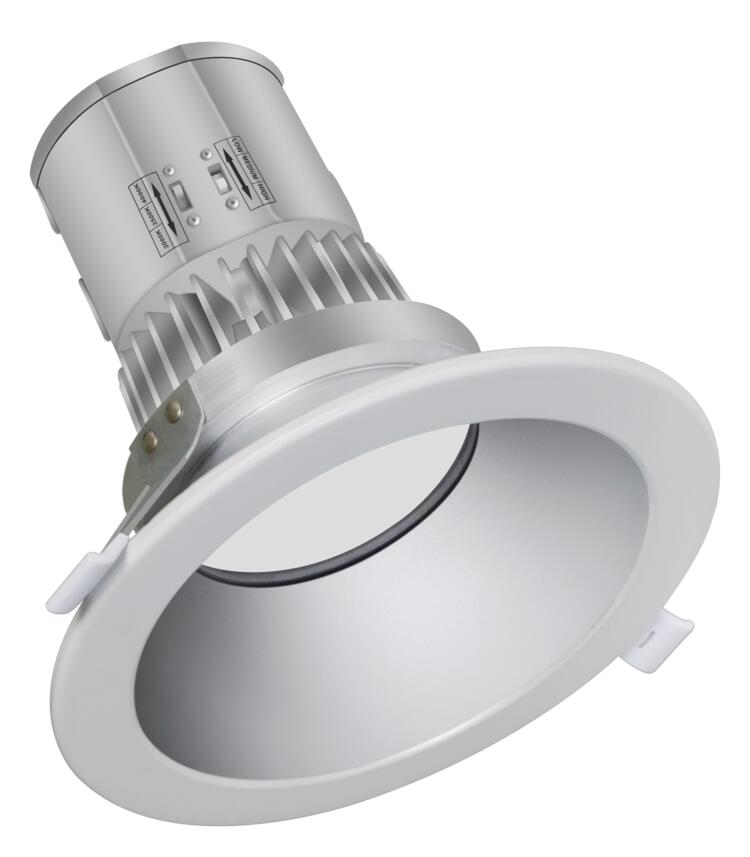 Spot encastrable divisé 10 cm, 40-34-27 W, 120-347 V, 30-35-40 K, argent givré, intensité variable 0-10 V