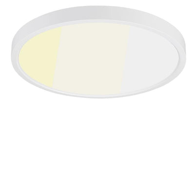 Plafonnier 30 cm 24 W 120 V 27-35-40-50-60 K blanc givré intensité variable TRIAC