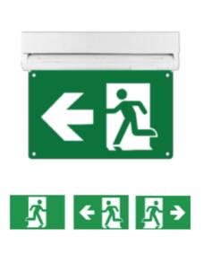 Feu de secours homme courant ABS blanc 120-347 V 180 min NiCad 0,5 W