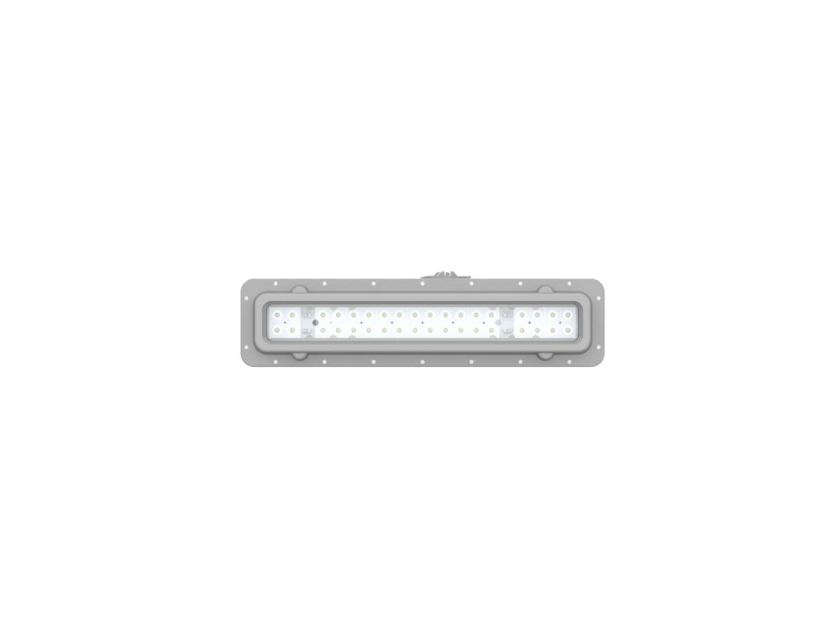Explosion Proof 2FT Linear Shape Clear Gray 120-347V 4000-5000-6500K 60-50-40W C1D1 IP66 VE