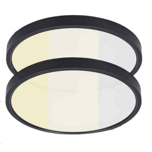 Lot de 2 Plafonnier 23 cm 18 W 120 V 30-40-50 K noir givré gradation TRIAC