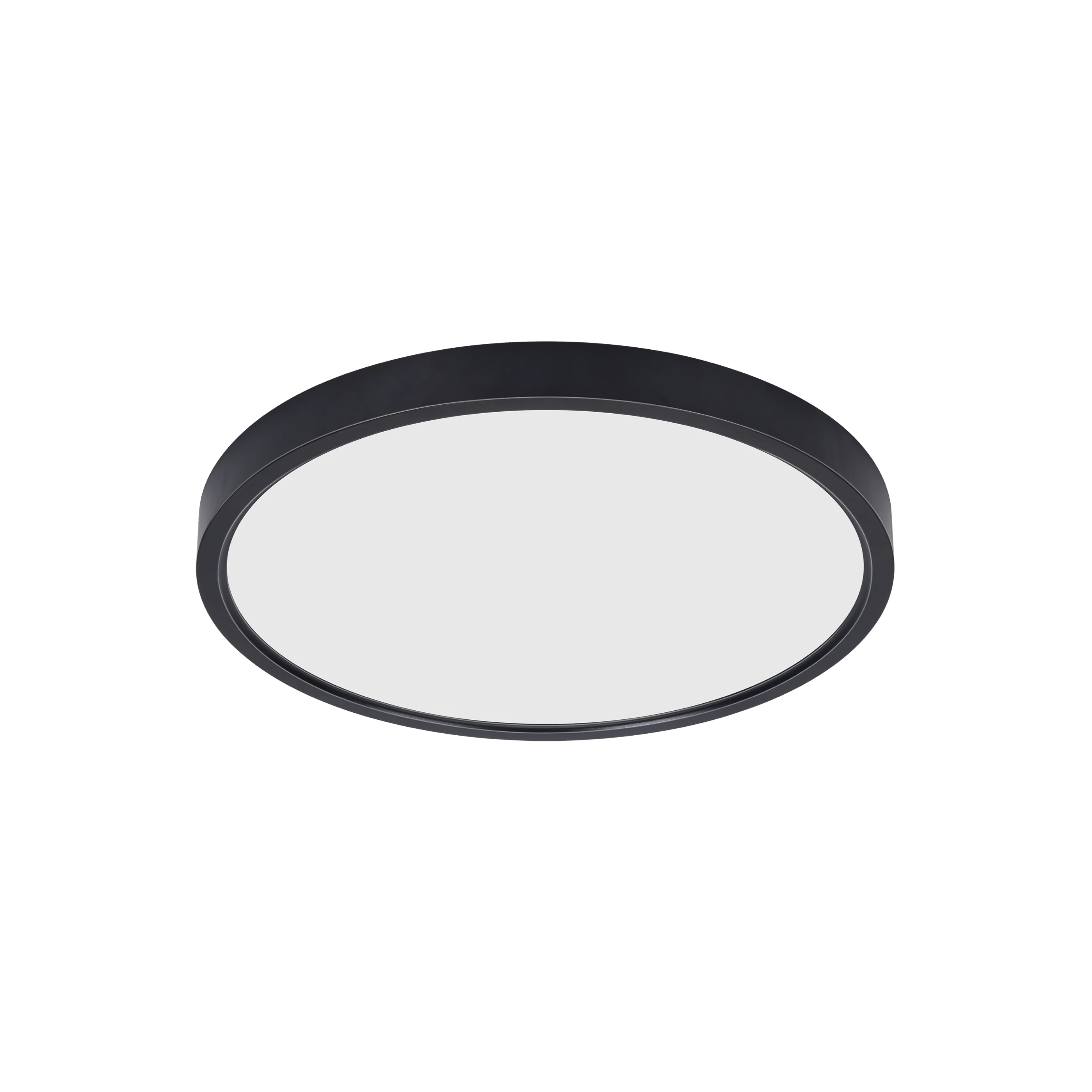 Ceiling Light