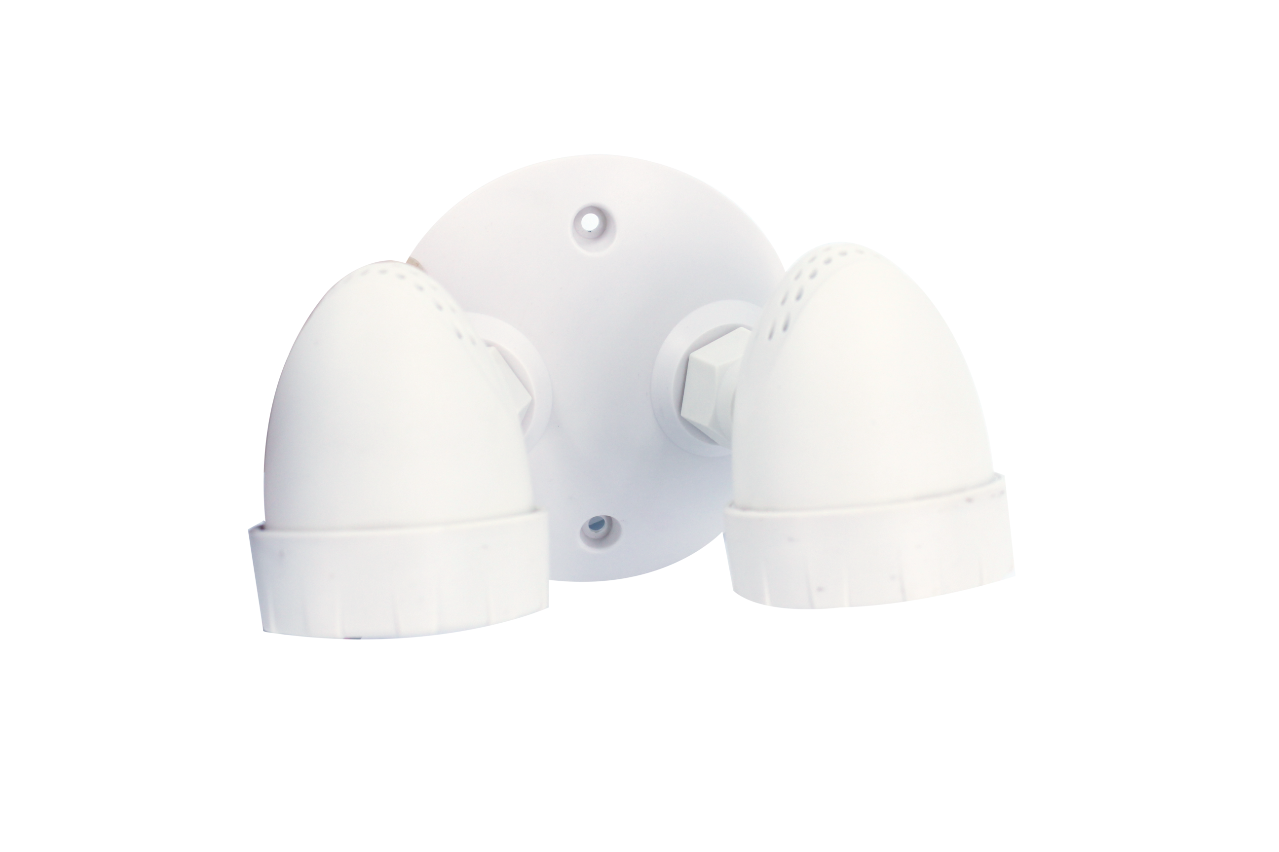 Emergency light remote heads dual 2X2W 3.6-24VDC